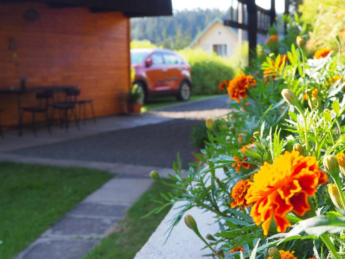 Chata Eliska Prikry Exterior photo